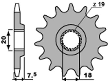 Cassette SunRace 10V MS1 11-36 dents Champagne