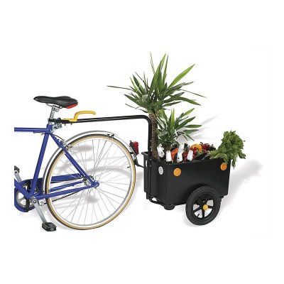 bellelli bike taxi child bike trailer